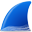 Wireshark icon